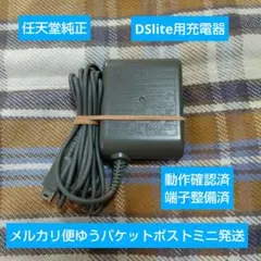 ①DSlite用 充電器 動作確認整備済み 即購入歓迎 任天堂純正USG-002
