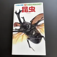 【小学館の図鑑　ネオぽけっと】昆虫