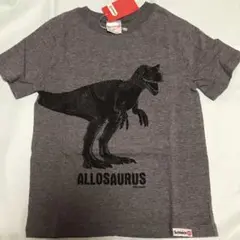 【新品】シュライヒ　アロサウルス　Tシャツ　130cm