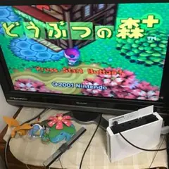 どうぶつの森+ ゲームキューブ　起動確認済み
