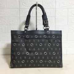 Item thumbnail for item 76dd90c0-6b27-4c66-aa3e-95a76da8cf04