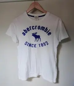 美品 アバクロンビー ホワイト 刺繍Tシャツ SINCE1892 鹿 XL