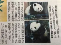 「希少/未使用」パンダ　ポストカード9枚綴り　カンカン　ランラン　上野動物園　② 希少/未使用」パンダ ポストカード9枚綴り カンカン ランラン