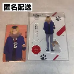 ハイキュー playing 研磨ネコ 特典 アクスタ 研磨