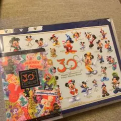 ディズニー　30周年　クリアファイル