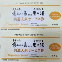 ナガシマリゾート共通入泉サービス 2枚