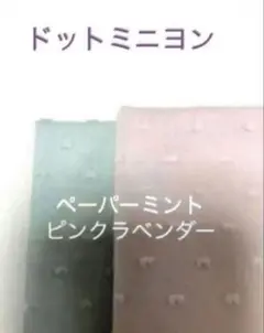 2枚＊ペパーミント&ピンクラベンダードットミニヨン check&