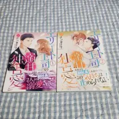 TL漫画 女性漫画 エリート上司の独占愛 1巻と2巻セット