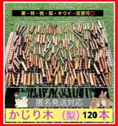 Item thumbnail for item ef846809-3f72-493d-bb00-23e40d23e349