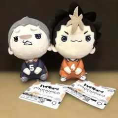 ハイキュー!! もちぴこぬいぐるみ4 全2種セット