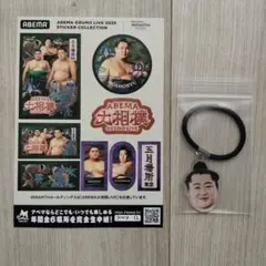 【未使用】遠藤 ヘアゴム ABEMA大相撲ステッカー