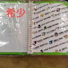 ベルマーレバインダー