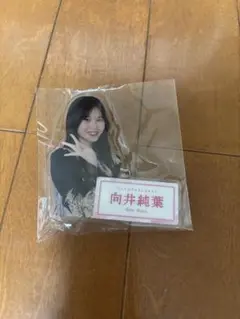 Item thumbnail for item 4e7c648d-f339-46e2-aacf-f65158e8a986