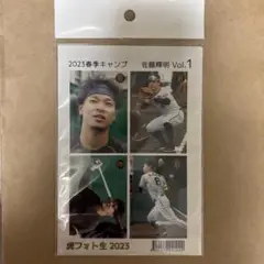 佐藤輝明 阪神タイガース 虎フォト生 2023