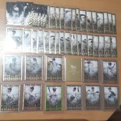 GENESIS プロ野球カード【50枚セット】