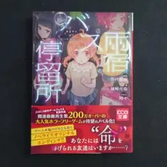 雨宿バス停留所 ライトノベル版