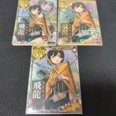 艦これアーケード 飛龍改ホロ・中破・ホロ3枚セット