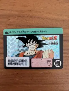 ドラゴンボールカードダス 孫悟飯 211