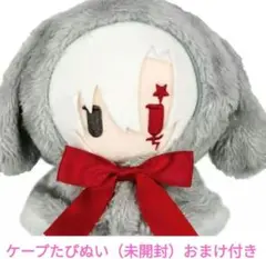 D.Gray-man 　ケープたぴぬい　アレン　新品未開封