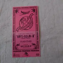プリンセス・プリンセス 世界でいちはん熱い夏