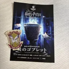 ハリーポッター原宿 HarryPotter 購入特典ピンバッジポストカード