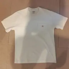 DANTON　TシャツМサイズ