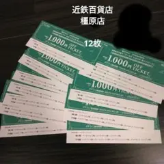 ワールドエコロモチケット12枚 近鉄百貨店橿原店