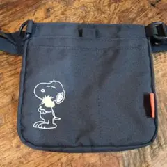 Item thumbnail for item 25392f08-7887-4703-9858-7f95cc724694