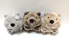 ずんぐりウォンピー　LMCぬいぐるみマスコット　ウォンバット