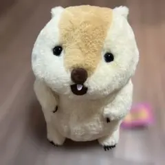 マーモットのもっとっとモアJB マーモット　叫ぶもっとっと　ぬいぐるみ