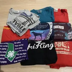 USA古着　10枚セット　Tシャツ　Mサイズ　やや傷や汚れあり　ギルダンヘインズ