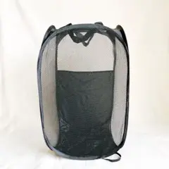Item thumbnail for item 38f0f597-2961-4d22-8fd0-1c96214ec6c5