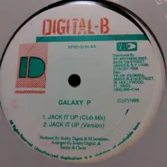 galaxy p garnet silk 12inch レコード