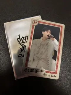 Stray Kids スンミン　ライブフォトカード　エコパ