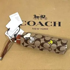 【新品未使用】coach×Peanuts 限定コラボ スヌーピー 折りたたみ傘