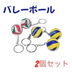 バレーボール キーホルダー まとめ売り　2個セット　大人気　プレゼント　応援