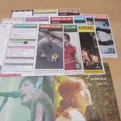 BONNIE PINK(ボニーピンク) ファンクラブ会報