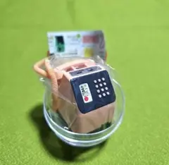 ⑰ NTT東日本 NTT西日本 公衆電話ガチャコレクション 番外編ピンク ガチャ