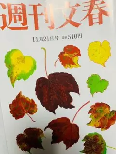 週刊文春 11月21日号 (発売日2024年11月14日)
