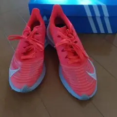 Item thumbnail for item dfb6dd60-4644-4e35-bd92-c8e6d0dd3b7b