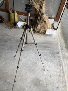 Item thumbnail for item 22936388-22d6-4a84-b382-a77c4e9ce5fd