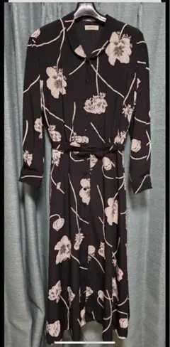 Item thumbnail for item 84e3d793-d770-49db-9569-0a6b53e1f096
