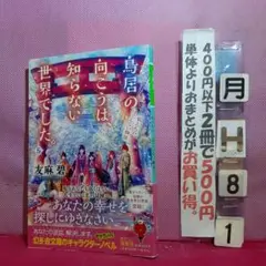 鳥居の向こうは、知らない世界でした。 5