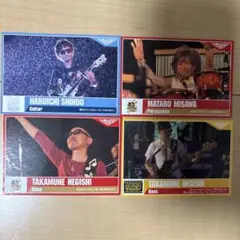 【ポルノグラフィティ]ポルノグラフィティチップス　カードセット
