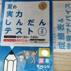 夏の実力診断テスト　2年生