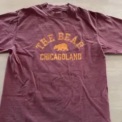CHICAGOLAND T-shirt M サイズ えんじ色