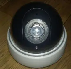 Item thumbnail for item 04d78075-962e-4932-a502-803c3a541275