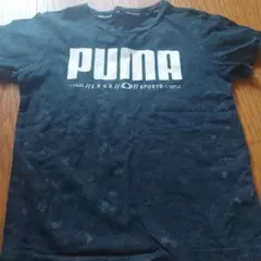 PUMA ブラック Tシャツ Lサイズ