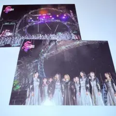 櫻坂46 4th YEAR アニラ ポストカード 集合 2枚