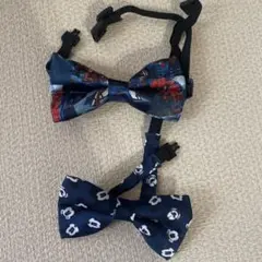 Item thumbnail for item 328816ad-e7f4-4520-8830-299de9c6b094